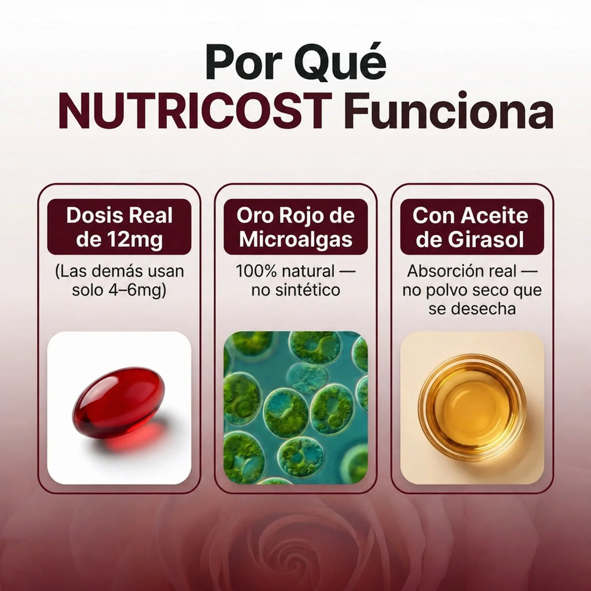 Compra 1 y Llévate 2 | Astaxantina Nutricost 60 cápsulas